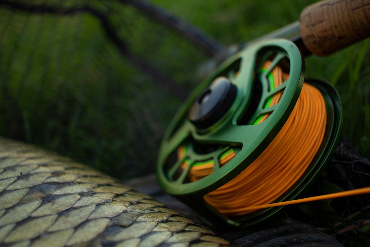 pescuit crap pescuit lansat boilies toamna lac 1